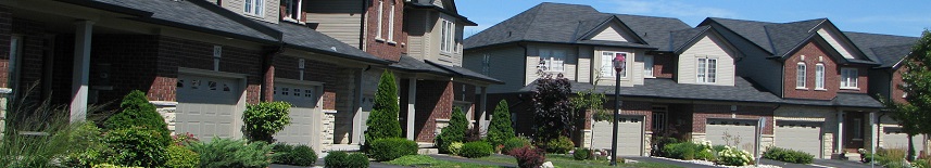 W265